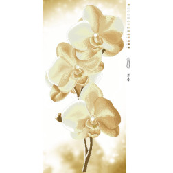 Схема картини Золотисті Орхідеї для вишивки бісером на габардині (ТК004пн4695)