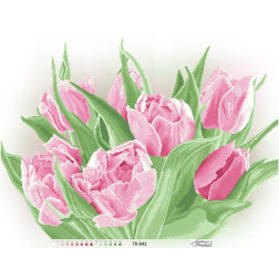 Схема картини Рожеве сяйво тюльпанів для вишивки бісером на габардині (ТК041пн7858)