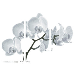 Схема картини Монохромна сіра орхідея (триптих) для вишивки бісером на габардині (ТК103пн8658)
